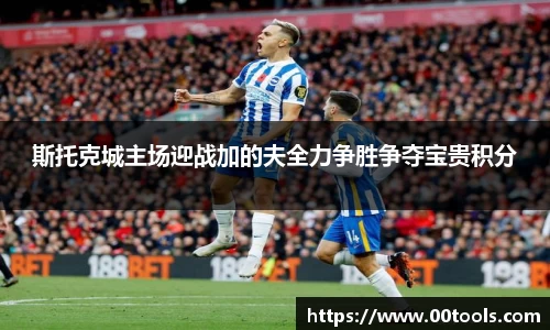 斯托克城主场迎战加的夫全力争胜争夺宝贵积分